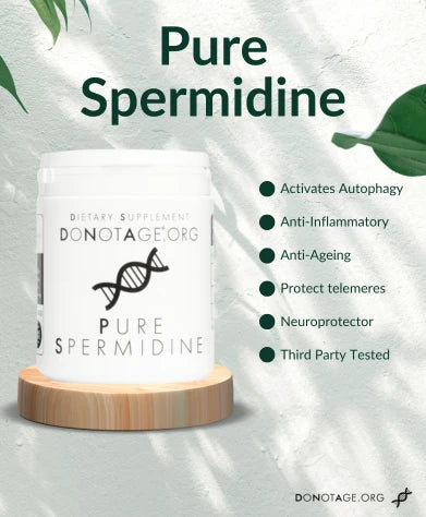 Do Not Age Pure Spermidine