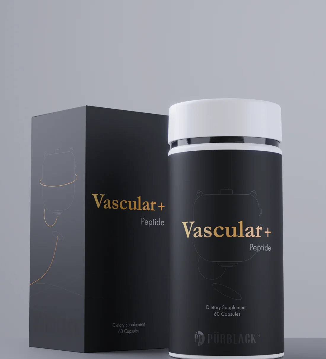 Jar_box_vascular_1.webp